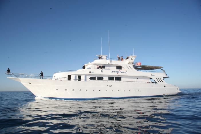 M / Y Longimanus